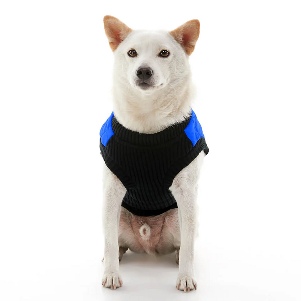 Bomber Vest: Blue