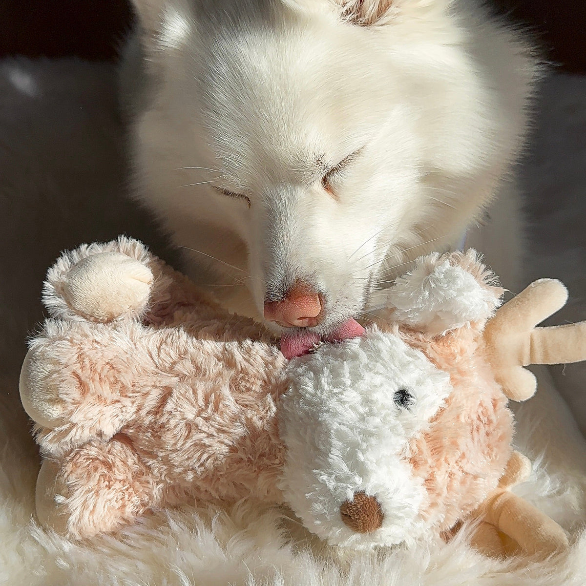Fur Elise Vixi Plush Toy - Maxi